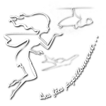 Les Fées Papillonnent